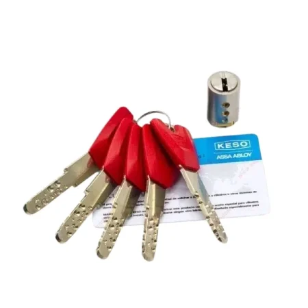 KESO 8000 Omega 2 Cilindro de seguridad Inserto E. PREMIUM Cromo Ref. 81.K9E