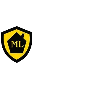 logo magneto