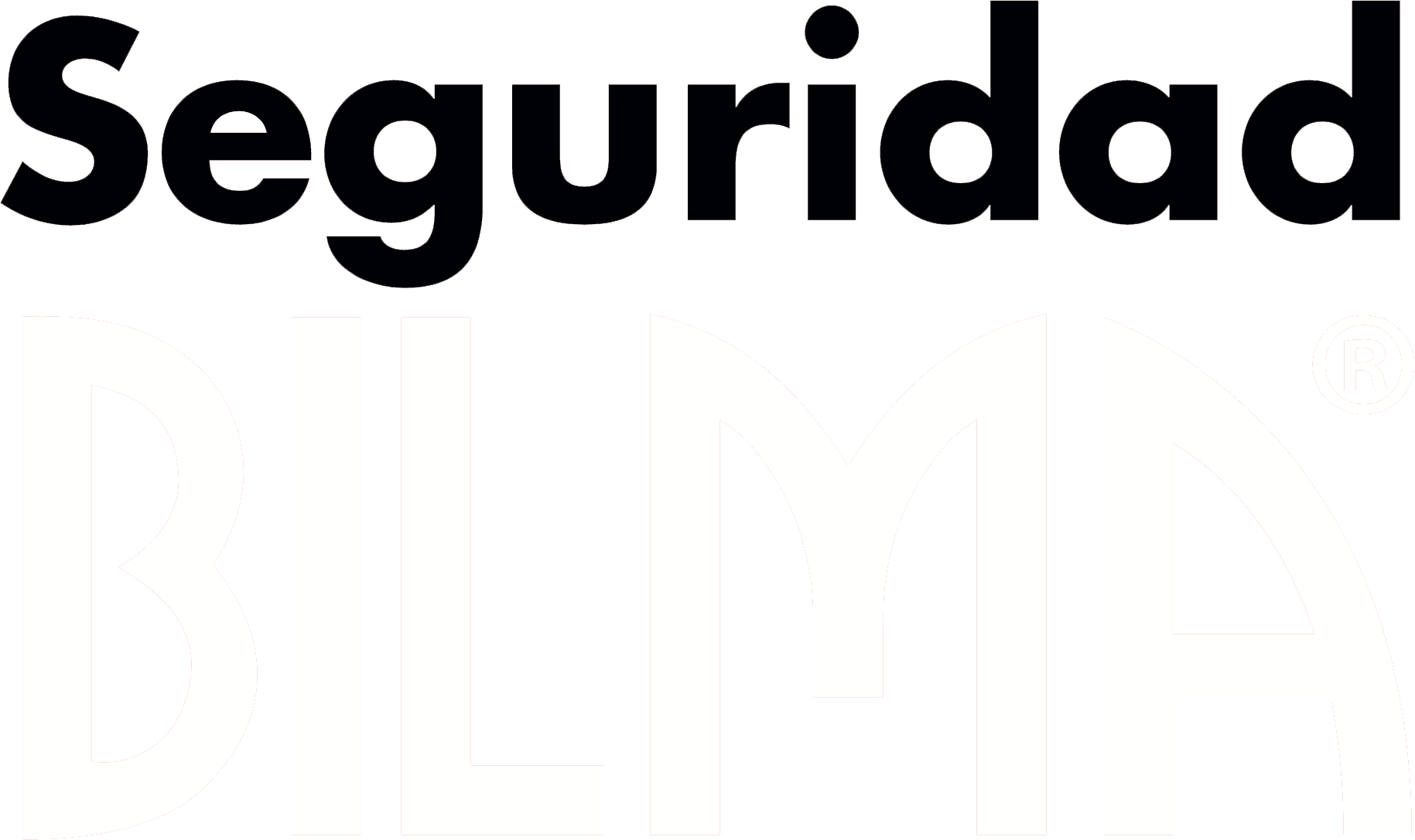 Seguridad BILMA Seguridad BILMA