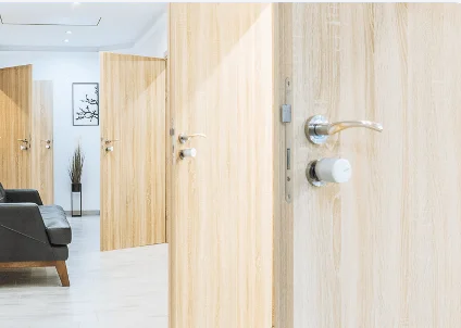 Cerradura inteligente Tedee PRO